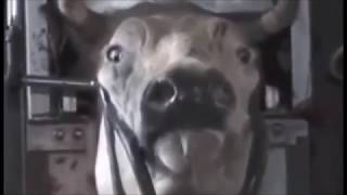 Free Me by Goldfinger