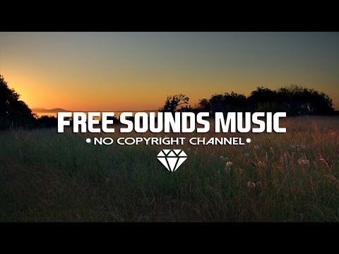 Exit Friendzone ft. Tyler Fiore -Chasing Paradise