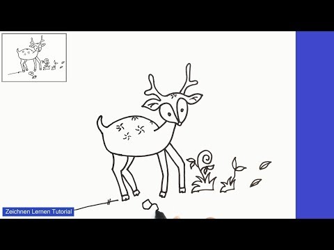 Hirsch zeichnen lernen einfach schritt für schritt für anfänger 1 – Zeichnen lernen tutorial