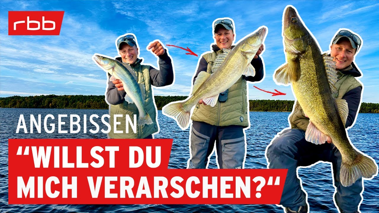 Welcome to Da Zanderzone! Angeln mit Sebastian Hänel | Angebissen #187