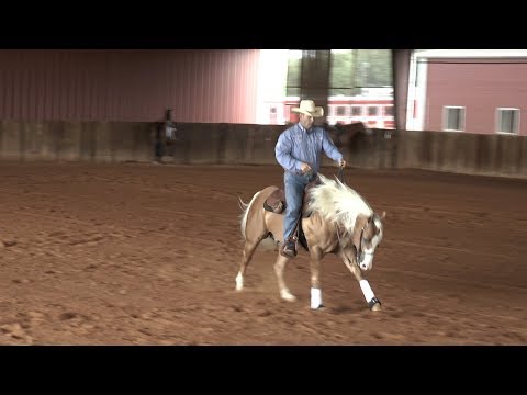 Todd Sommers - Taking off in the Rundown