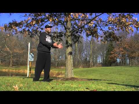 TGIM SEASON 3 SEASON FINALE - BLACK FRIDAY SPECIAL