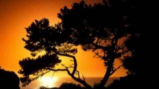 Grateful Dead - Lost Sailor / Saint of Circumstance 1982