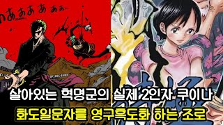 [원피스 분석] 부활한 혁명군의 실제 2인자 시모츠키 쿠이나 그리고 화도일문자를 영구흑도화하는 조로