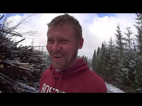 Energiapuun manuhakkuu