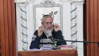 מורא בית מדרש | שו"ת רה"י הרב דוד פנדל (ישיבת אפיקי דעת שדרות) - התמונה מוצגת ישירות מתוך אתר האינטרנט יוטיוב. זכויות היוצרים בתמונה שייכות ליוצרה. קישור קרדיט למקור התוכן נמצא בתוך דף הסרטון