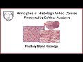 Pituitary Gland Histology [Endocrine Histology 1 of 2]