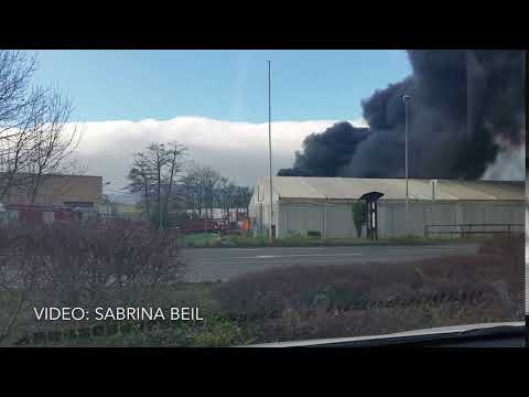 Container-Brand bei Tenneco in Edenkoben am 10. Februar 2018