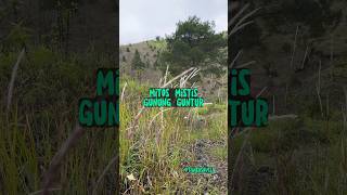 Download lagu Mystical Myth of Mount Guntur #mountguntur #mountainmyth mp3