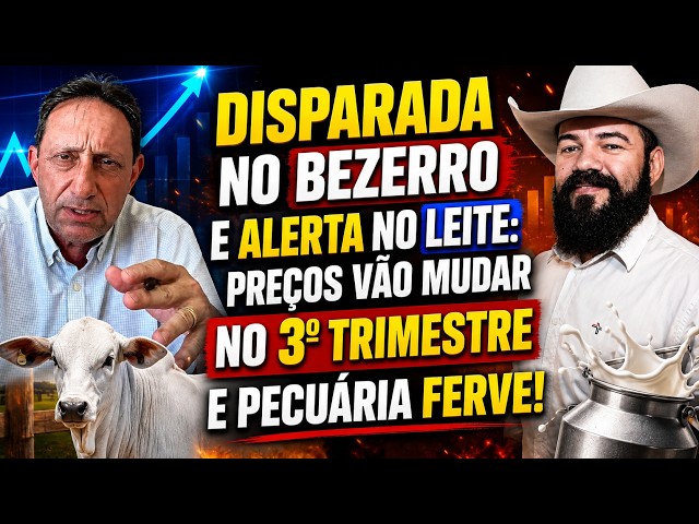 Disparada no BEZERRO e alerta no LEITE: Preços Vão Mudar no 3º Trimestre e Pecuária Ferve!