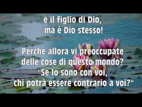 "Non temete, piccolo gregge, perché il Padre vostro è con voi."