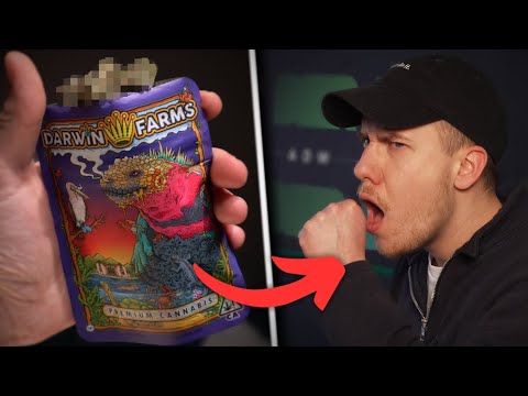 CANNABIS und HUSTEN - Das solltest Du wissen!