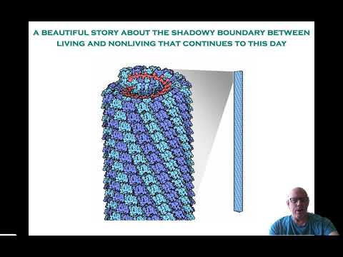 Viruses As infectious agents