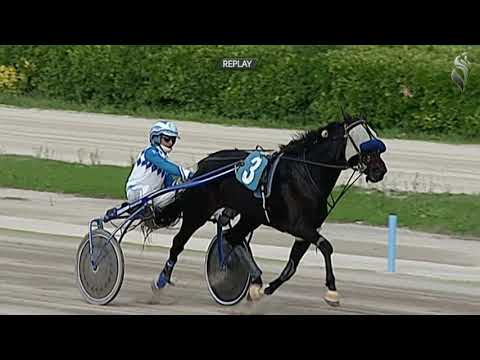 Aversa trotto 21 Ottobre 2020 - 4° Corsa