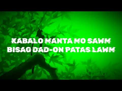 The Observation   (Official Lyrics Video)