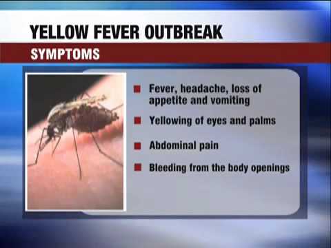 Ministry wants shs.12B to curb Yellow fever
