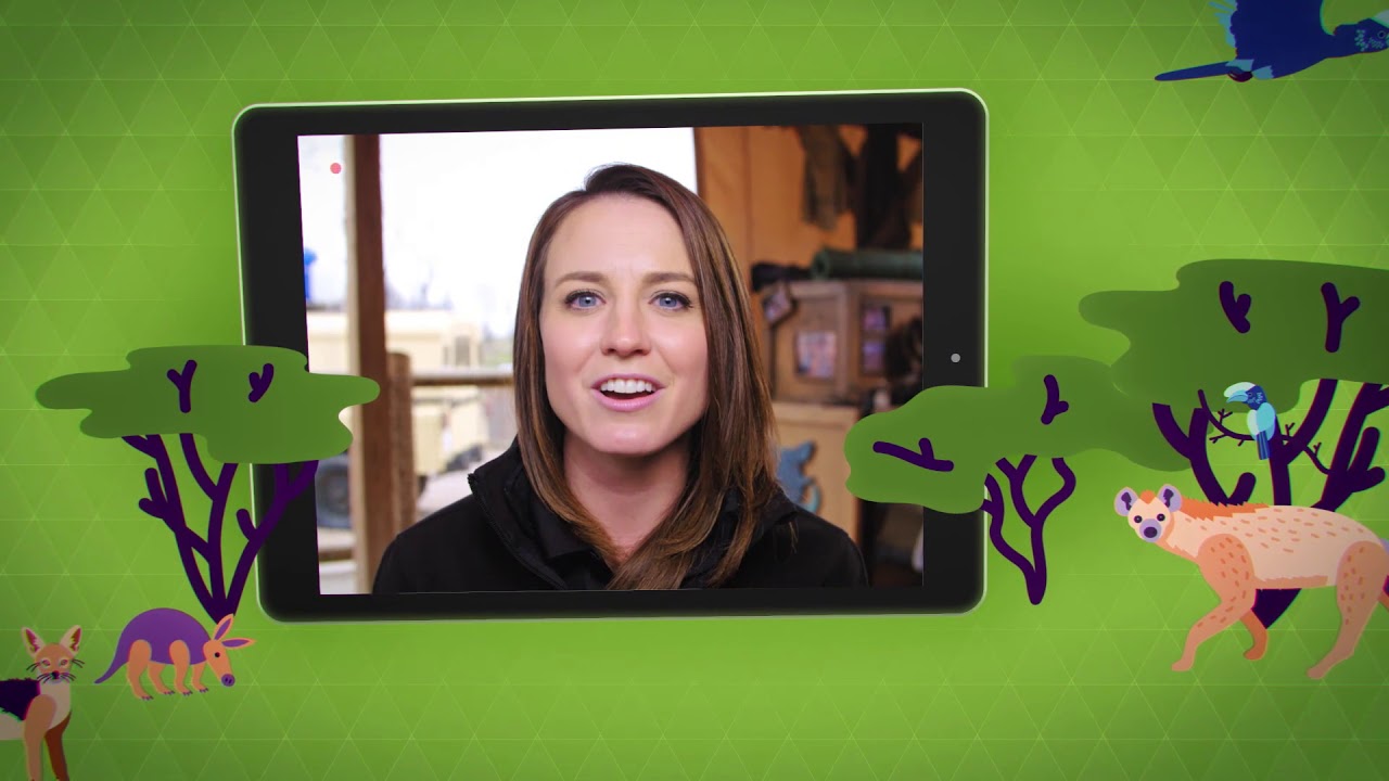 STEM Careers: Inspire the Next Generation of Innovators