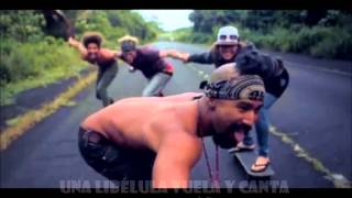 Nahko & Medicine for the People - Budding Trees (Subtítulos en Español)