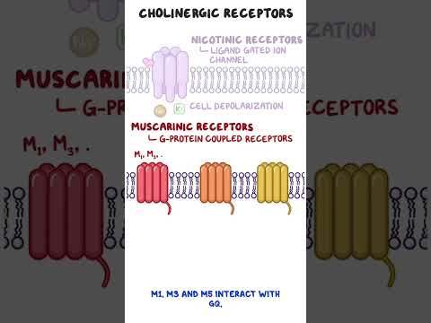 Clinical Cuts Diabetes mellitus