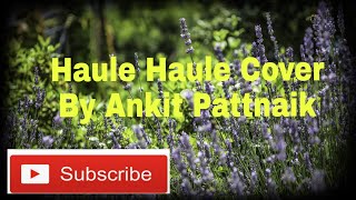 Haule Haule | Rab Ne Bana Di Jodi | Salim Sulaiman | Cover by Ankit Pattnaik