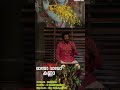 Krishna Devotional Song Sung By Madhu Balakrishnan