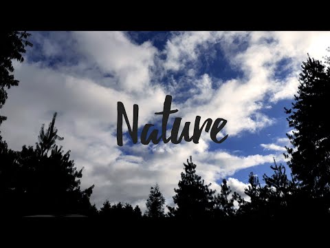 In the mood for Nature in Quarantine // Yumejis Theme