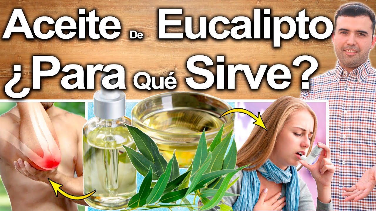Watch Aceite De Eucalipto ¿Para Qué Sirve - Beneficios Del Eucalipto Para Tu Salud Y Belleza. Now Aceite De Eucalipto ¿Para Qué Sirve - Beneficios Del Eucalipto Para Tu Salud Y Belleza.