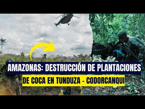 Amazonas: durante operativo la policía destruyó cultivos ilegales de coca en Tunduza - Condorcanqui