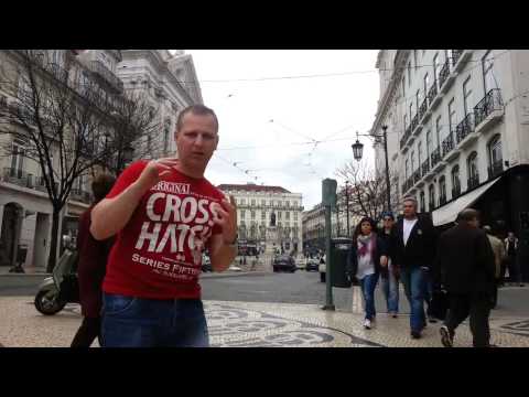 Leniwy pies a piękna rzeczywistość