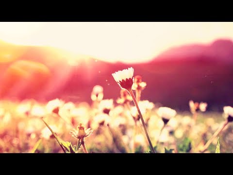 Ethillas - Black Mist [Silk Music]