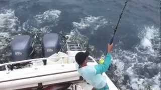 Tuna gone Crazy