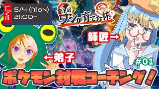 🔴【 #第1回ワシ弟子 】シングルバトルを１から教えちゃう！？　#ワシが育てた杯　菊光アイトさん＆輝羅星そらのペア・初回配信！【VTuber/菊光アイト/輝羅星そらの】