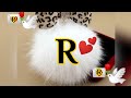 R R Name Status Video S Ll R R Whatsapp Status R R Name Tik Tok Video R R Naam K Status R R Video