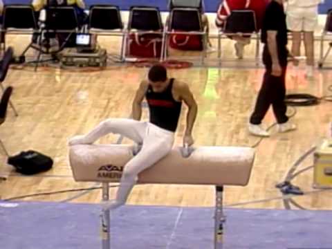 Jair Lynch - Pommel Horse - 1993 Winter Cup