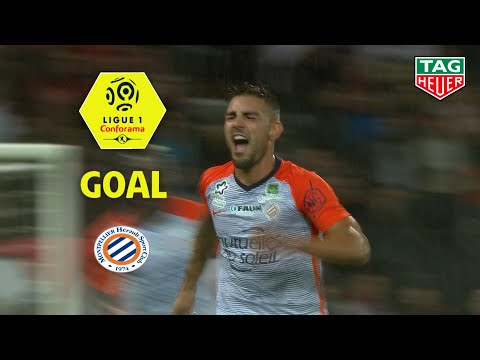 Goal Andy DELORT (30') / EA Guingamp - Montpellier Hérault SC (1-1) (EAG-MHSC) / 2018-19