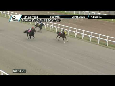 220528 C08 - OTON (BRZ) - HIPODROMO LAS PIEDRAS