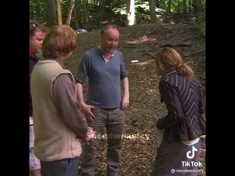 The kiss between Ron and Hermione #shorts