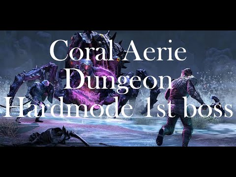 Coral Aerie Dungeon - HM 1st boss - Sorcerer Healer – ESO