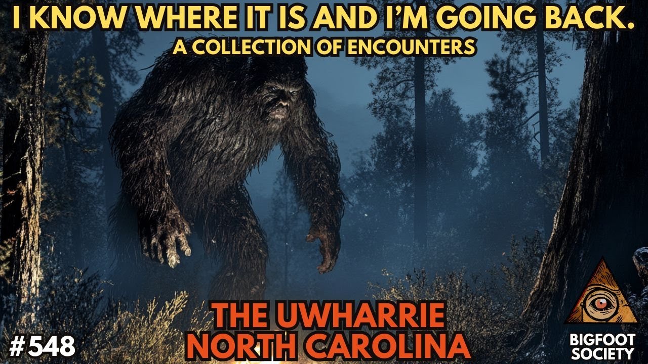 The Night Sasquatch Came to Dinner!