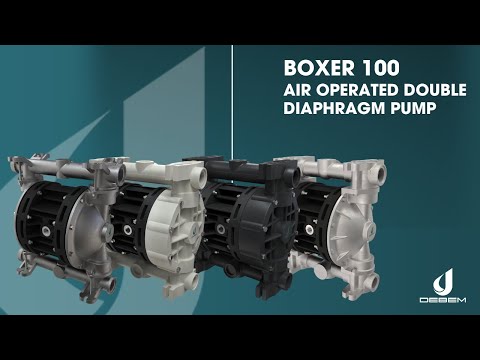 Thumbnail of Debem Boxer 100 AODD Pump Assembly