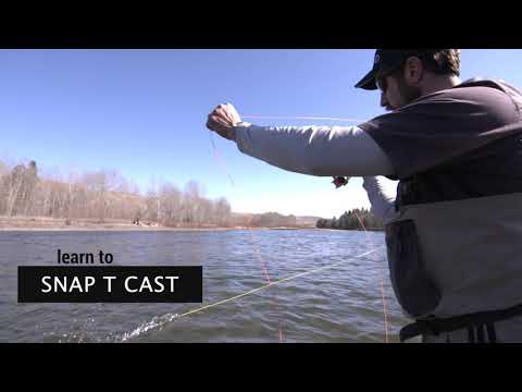 LEARN THE SNAP T CAST