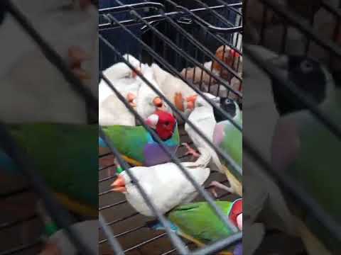 Nature lovers ♥️♥️♥️