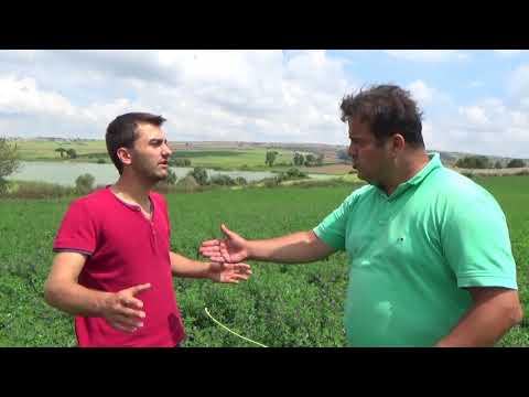 download lagu mp3 mp4 Malkara Nfus, download lagu Malkara Nfus gratis, unduh video klip Malkara Nfus