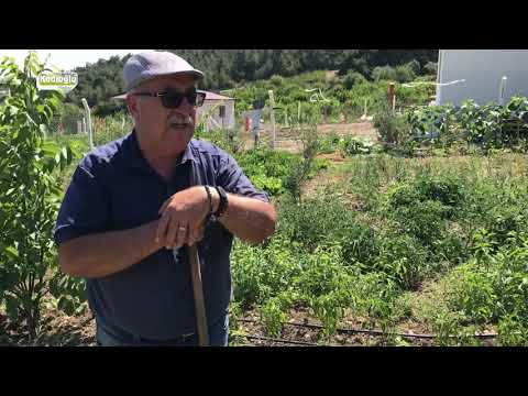 Kolay Çapalama Aleti - ÜZENGİ ÇAPA