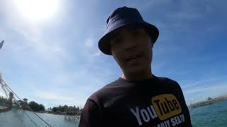 Pag-aani ng Samaral o Malaga | BillyAillySeaTV