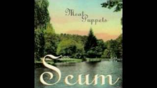 Meat Puppets - Scum (Vapourspace Remix)