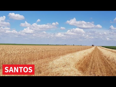 AGROČAS 3. JUL 2021.