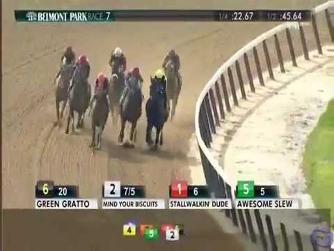 2017 Belmont Sprint Championship - Mind Your Biscuits