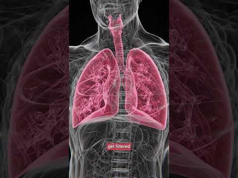 Tobacco and Urological Cancer Prevention | Dr. Rajesh Kumar Reddy | AINU Hospital