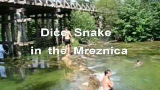 preview picture of video 'Dice snake in the river Mreznica'